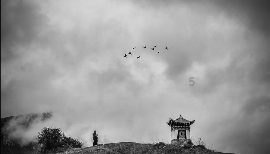 发现对方在撒谎怎么说？游戏画面